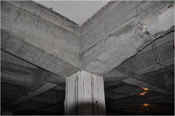 1470209749521231.jpg 圖片7.jpg